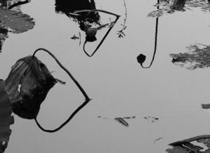 快速提升寫作能力的9個關鍵之處