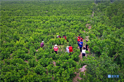 東營市新時代文藝志愿行攝影采風(fēng)創(chuàng)作活動在龍居舉行